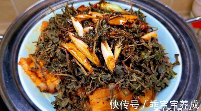 马齿苋|此菜晒干后,比新鲜的好吃太多,一次晒上30斤,随吃随取,真省事