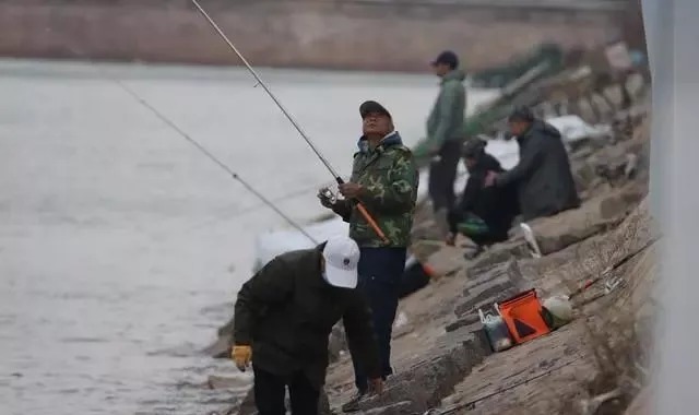 鱼口轻就不钓了?庆幸还有这“应对秘方”,每次都能钓满渔护