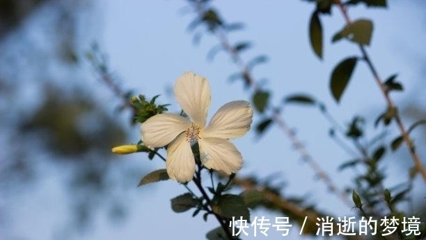 感情|3天内,旧爱做证,依然忠贞,偶遇旧爱,激情拥抱,甜蜜如初