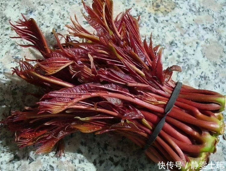 食物|女性不要太节俭，多吃3种食物，养颜美肤抗衰老，养出好气色