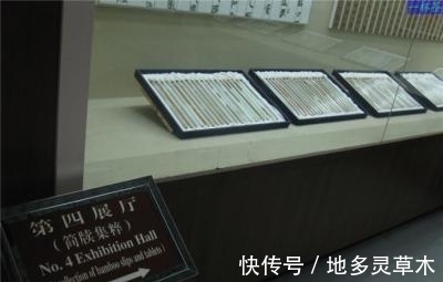 青囊书&中国3大失传古书, 第1振兴中医, 第2威力惊人, 第3复原能改写历史