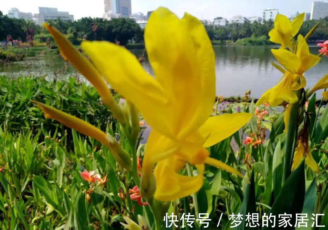 10种花太能喝水，一天一瓢水，7天爆满缸