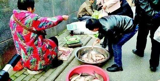 就别错过|去菜市场买鱼的时候,如果看到这四种淡水鱼,千万不要错过