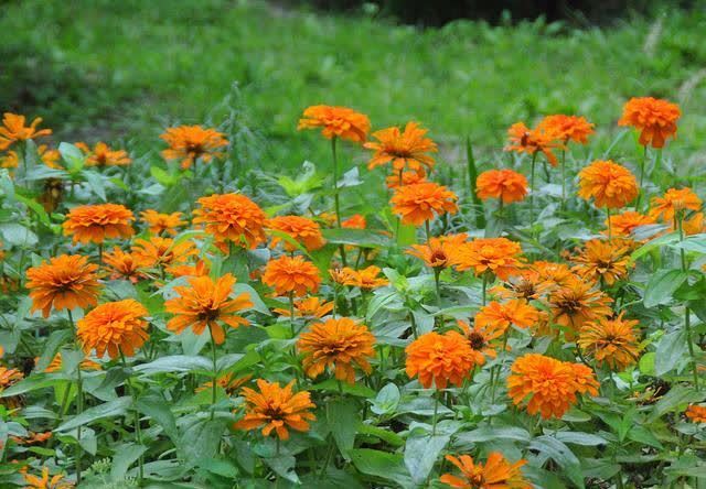 思念$守一座心城,想你到老