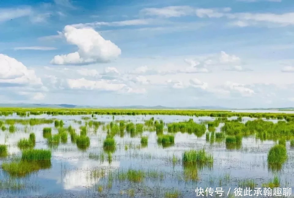 走，去阿坝州高原上看“海”！