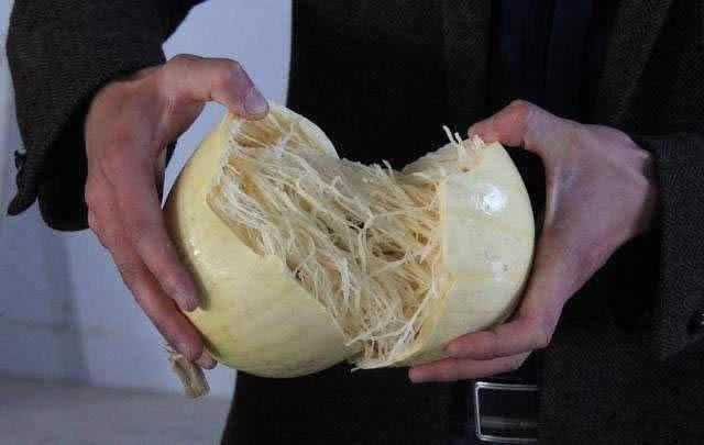 粉丝|小伙买了一个瓜,掰开变成粉丝,朋友却告诉他是鱼翅,少有人吃过