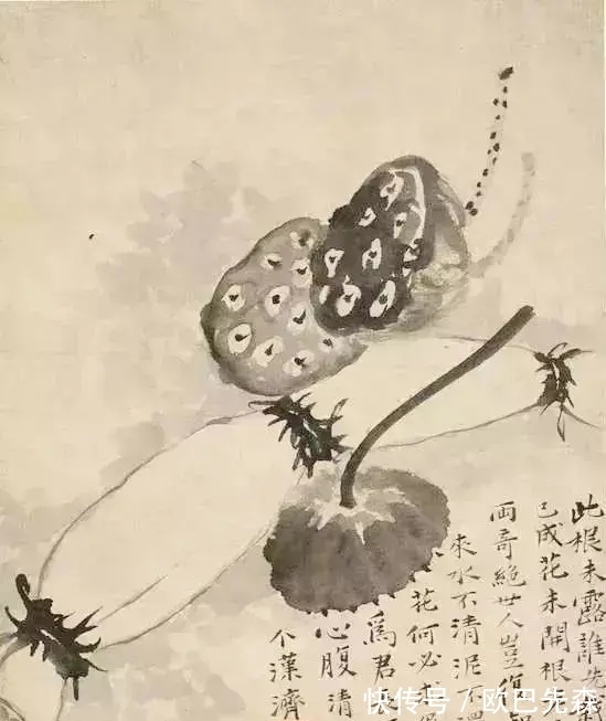 一叶兰舟@白头相见两萧条，乡国不知何处是，乱山无数思迢递