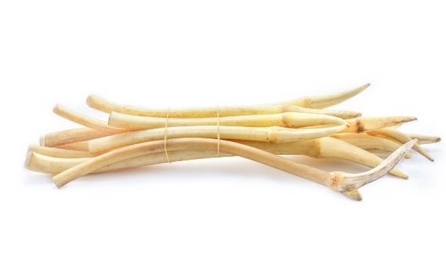 吃法|68种野菜图片，教你认识不同的野菜和吃法，你想要的野菜这里都有