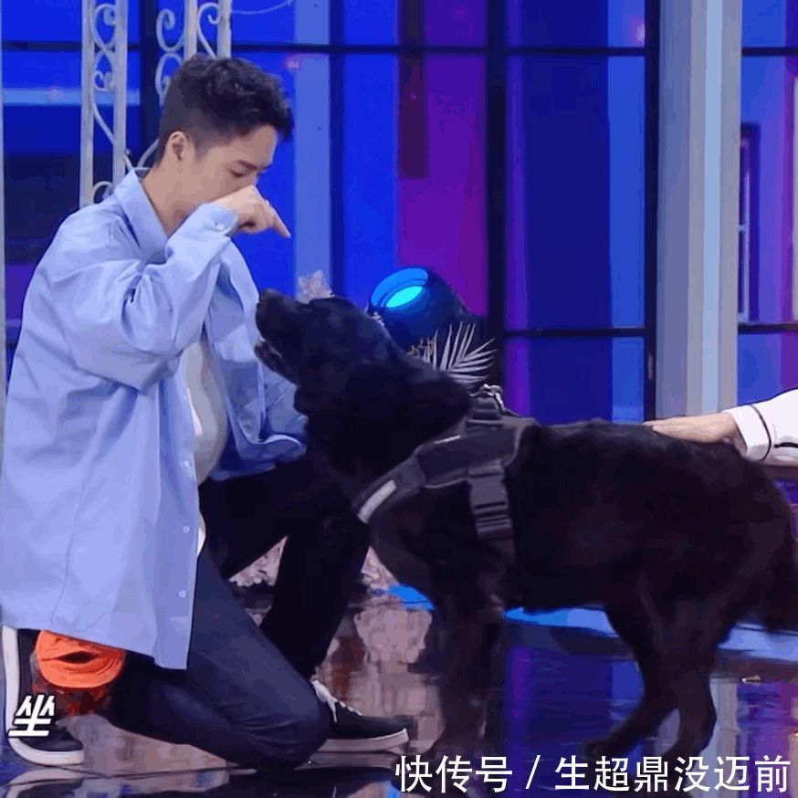 《天天》独留汪涵挑大梁王一博无证大张伟疑请辞,兄弟团不在了