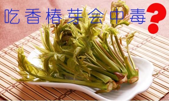 郑州的椿芽上市了，吃香椿会中毒？怎样吃才放心？