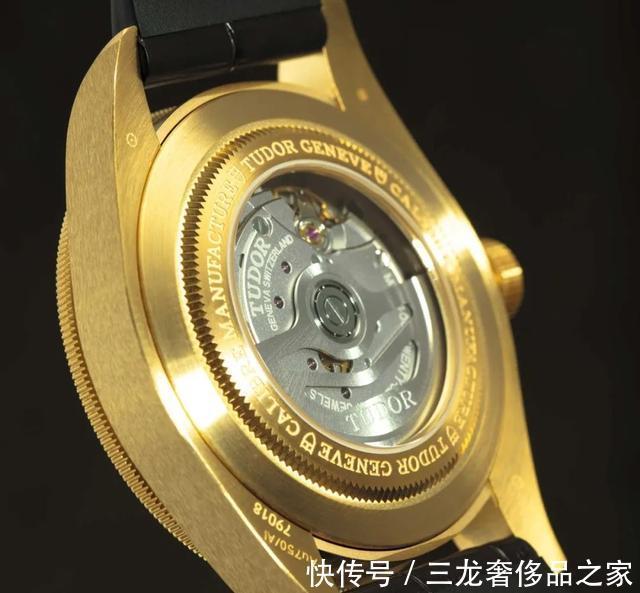 公价2万到12万,2021新表第一波,总有你喜欢的一只