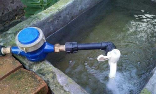 怎么让浇花效果事半功倍？掌握3个小窍门，黄叶烂根问题少很多