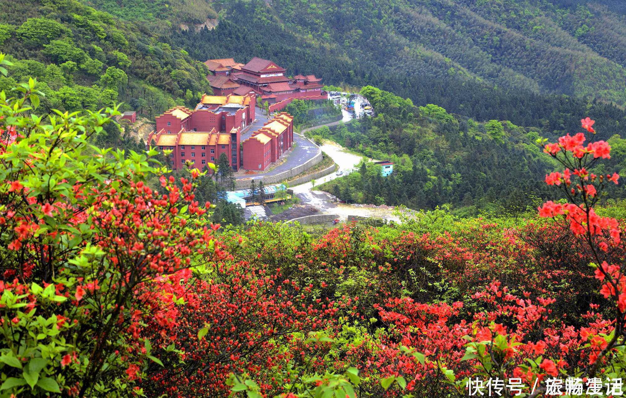 酒糟|走进永州阳明山，看杜鹃花海，赏云山雾海，吃猪脸腌制的酒糟肉