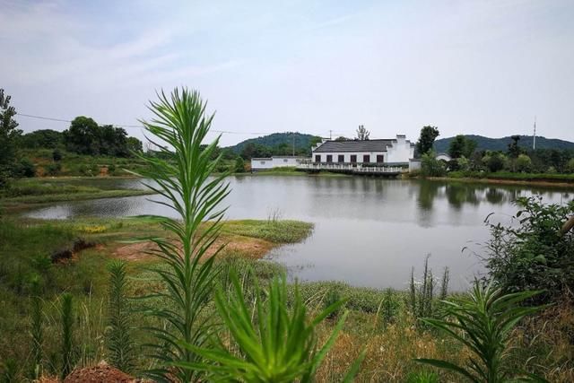 安徽有座“宝藏”县城，坐拥绝美巢湖风景，或将“撤县设市”