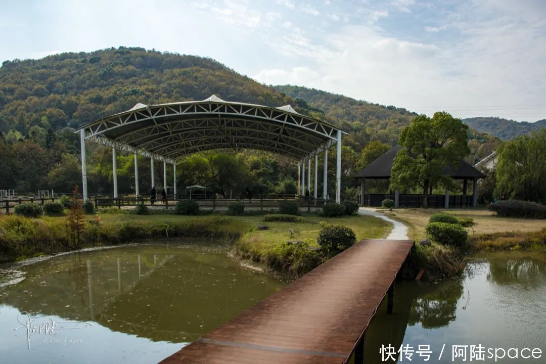 骑马|想体验骑马不一定要去内蒙古，在嘉兴南北湖就可以圆这个梦