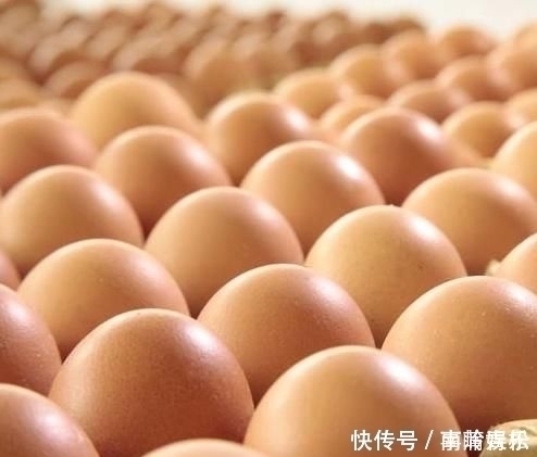 蒸鸡蛋|买鸡蛋,白壳红壳哪个好?养鸡大妈说出答案,告诉家人别花冤枉钱