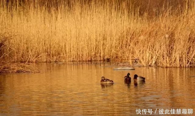 特克斯县八|伊犁六星街、八卦城等景区拟确定为国家4A级旅游景区！