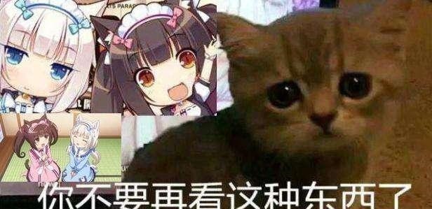 动漫|日漫看多了会产生的三种“后遗病”,中了两种,说明你病得不浅!