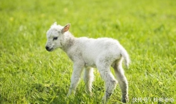 临头,1月31号躲不过的喜,看看是什么喜?