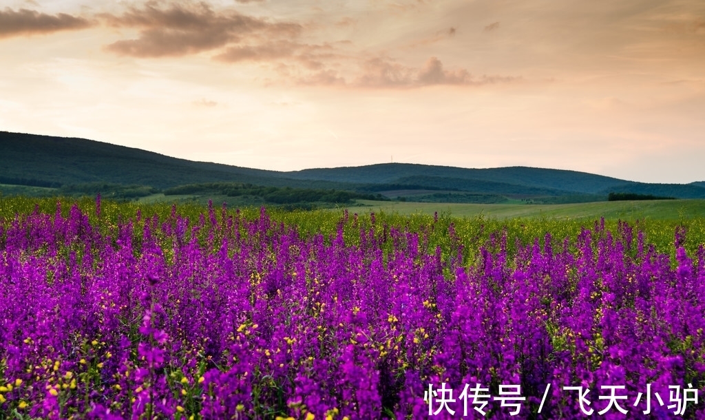 夜雨寄北|宰相词人的两首妙作，细腻传神，人物的形象更是栩栩如生