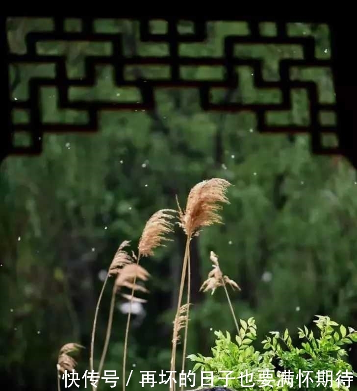 满秋窗|江城子·碎影满秋窗