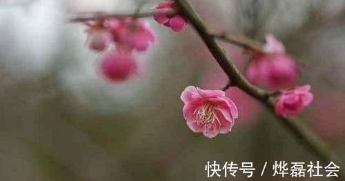 大词人!一首有趣的《一剪梅》,来自被贬的大词人,看似任性却句句有水平