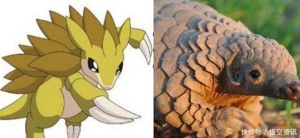 餐桌|当神奇宝贝来到现实世界,鲤鱼王即将上餐桌,绿毛虫毫无违和感