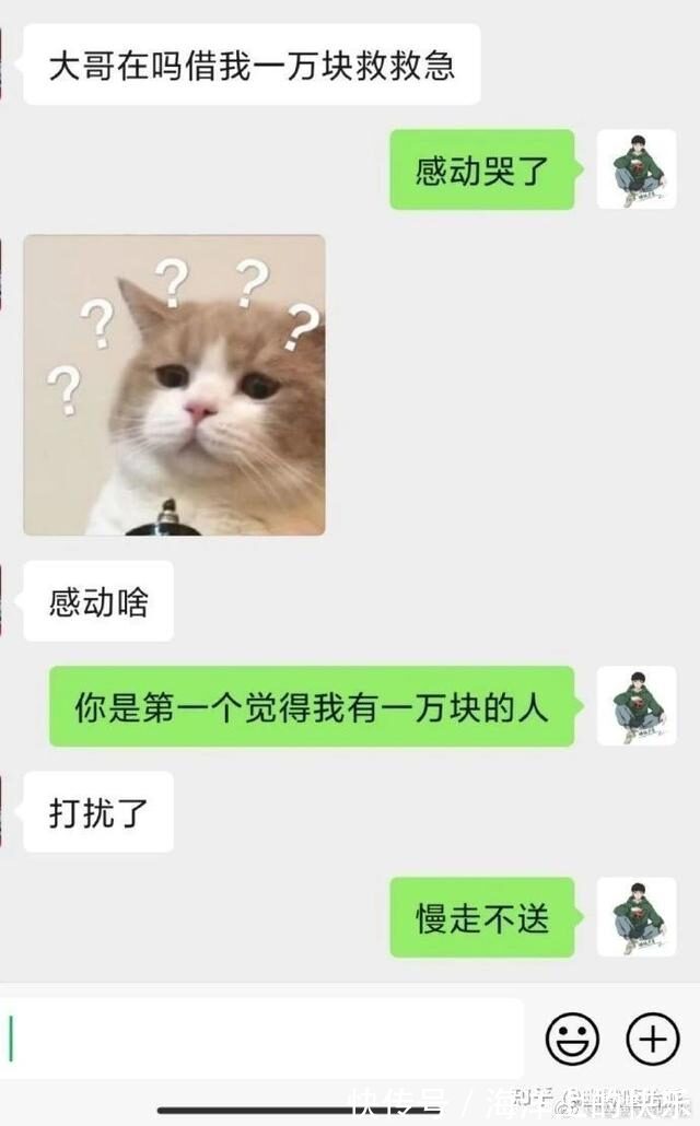 |开心一笑，爆笑图片段子：快睡觉！大晚上我上哪儿给你找公猫去