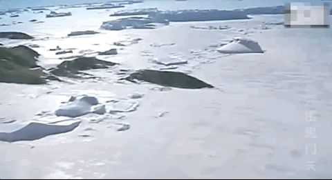 科考团|1988年，张国立在南极点燃炸药包，救南极科考团，荣获二等功