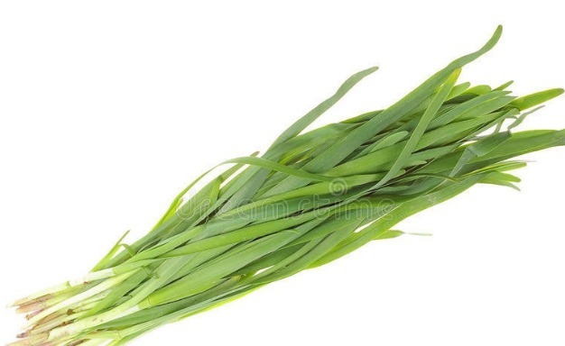 小根|65种野菜图片,带你认识不同的野菜和吃法,你想要的野菜这里都有