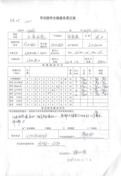 分娩|分娩时用导乐仪进行镇痛有用吗，看看用过的人都怎么说？