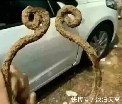 |幽默段子:自从挖出了它,我感觉,我以后的人生都要变了