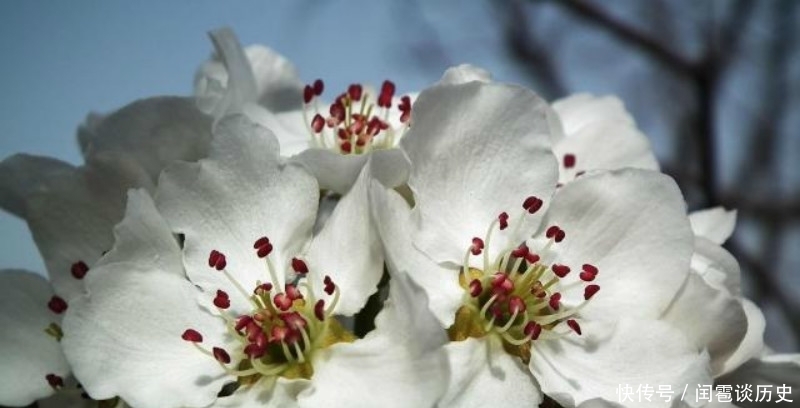 也正|苏轼最具有哲理的一首诗,人生看得几清明,读懂了一定是受益终生