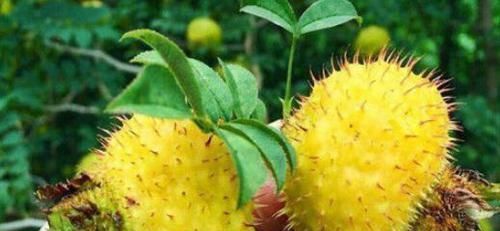 毒素|30岁女性要学会常吃3种食物,排出毒素,滋养卵巢,更显年轻态