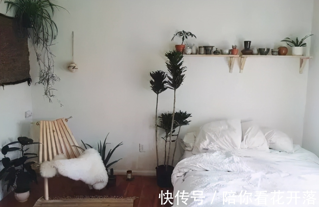 养花人都有的“迷惑行为”,只有爱花之人才懂,看看你中了几条