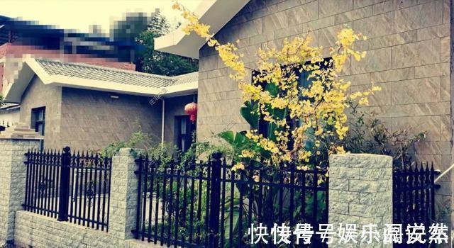 别墅|别拿一层不当别墅！5个真实案例，告诉你在农村建一层别墅有多爽