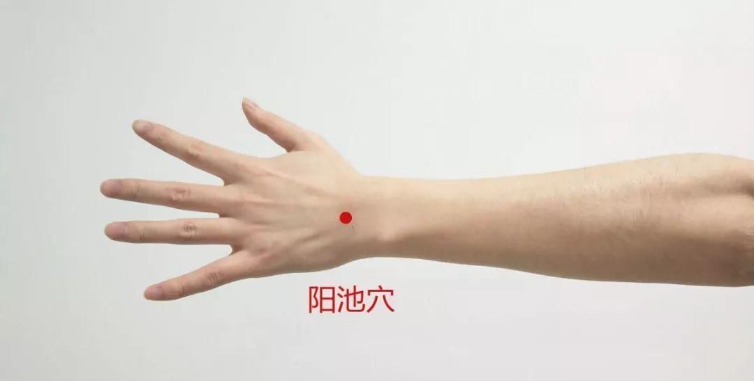 风邪|中医养生四大奇穴调全身，风寒湿火一扫光