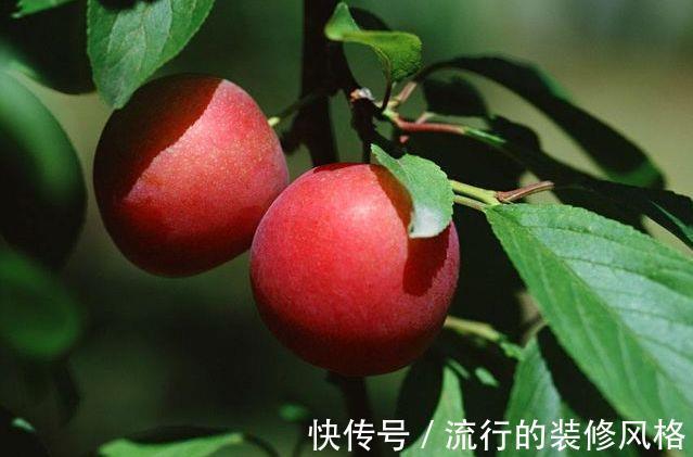 美容|女人不想脸上有斑，经常吃此水果，能美容淡斑、延缓衰老