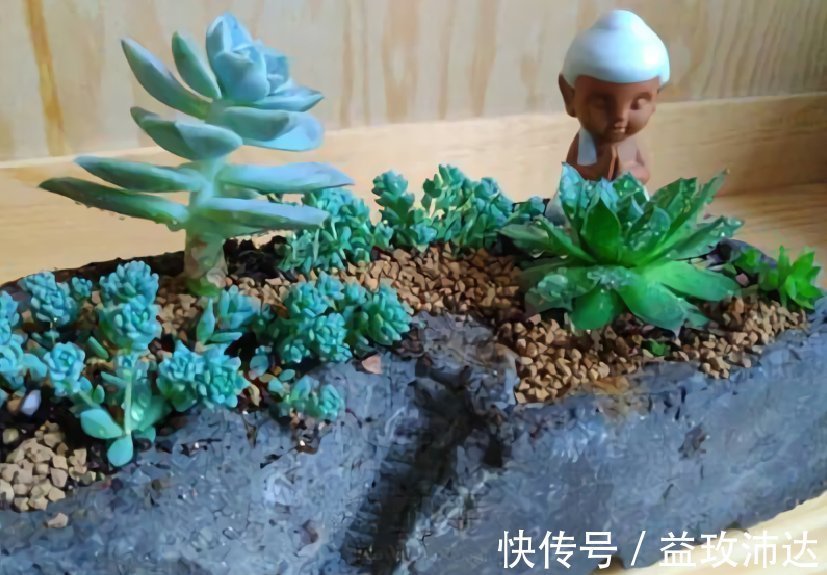 这些“花盆”真漂亮,创意十足还不花钱,“破烂”可别再扔了