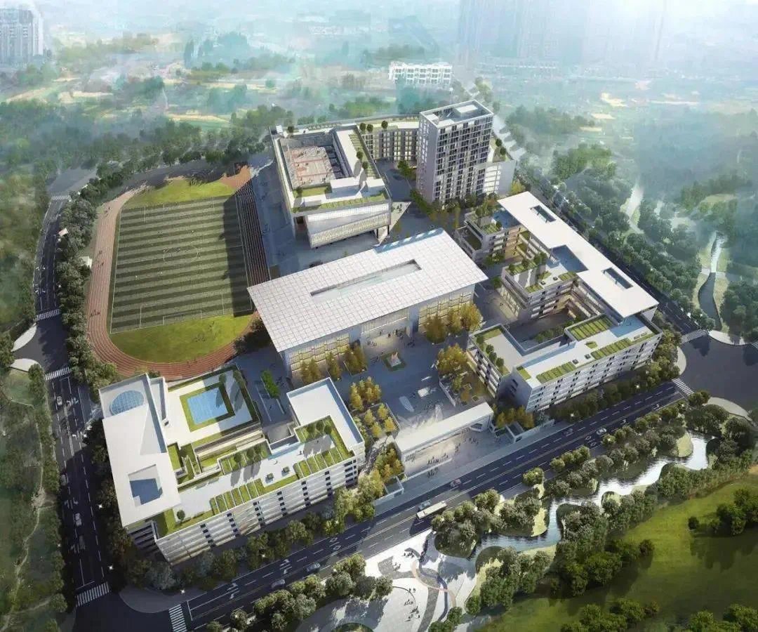 落户|头部城市抢人计划启动,未来谁在成都买房?