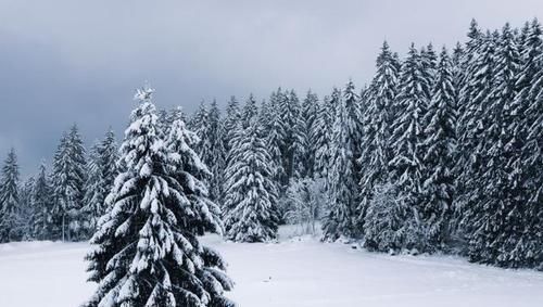 深刻|陶渊明特唯美的诗,寥寥数语,把一年四季描写极为深刻,堪称经典