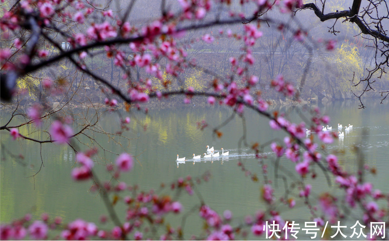 伍举@国学成语故事（63）“跨国”婚姻中的温柔陷阱之包藏祸心