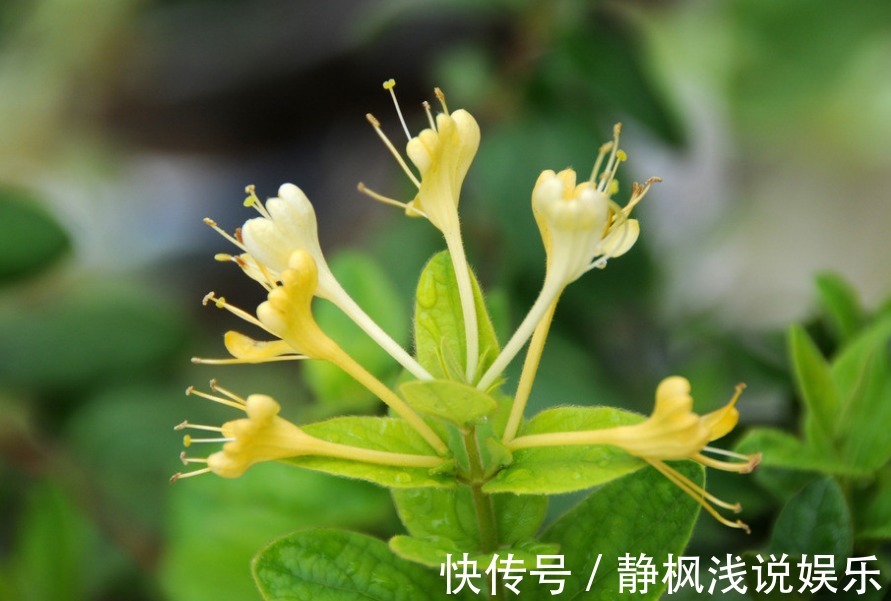 用法|怎样控制高血压?不用每次都吃药,教你4个快速降压的方法