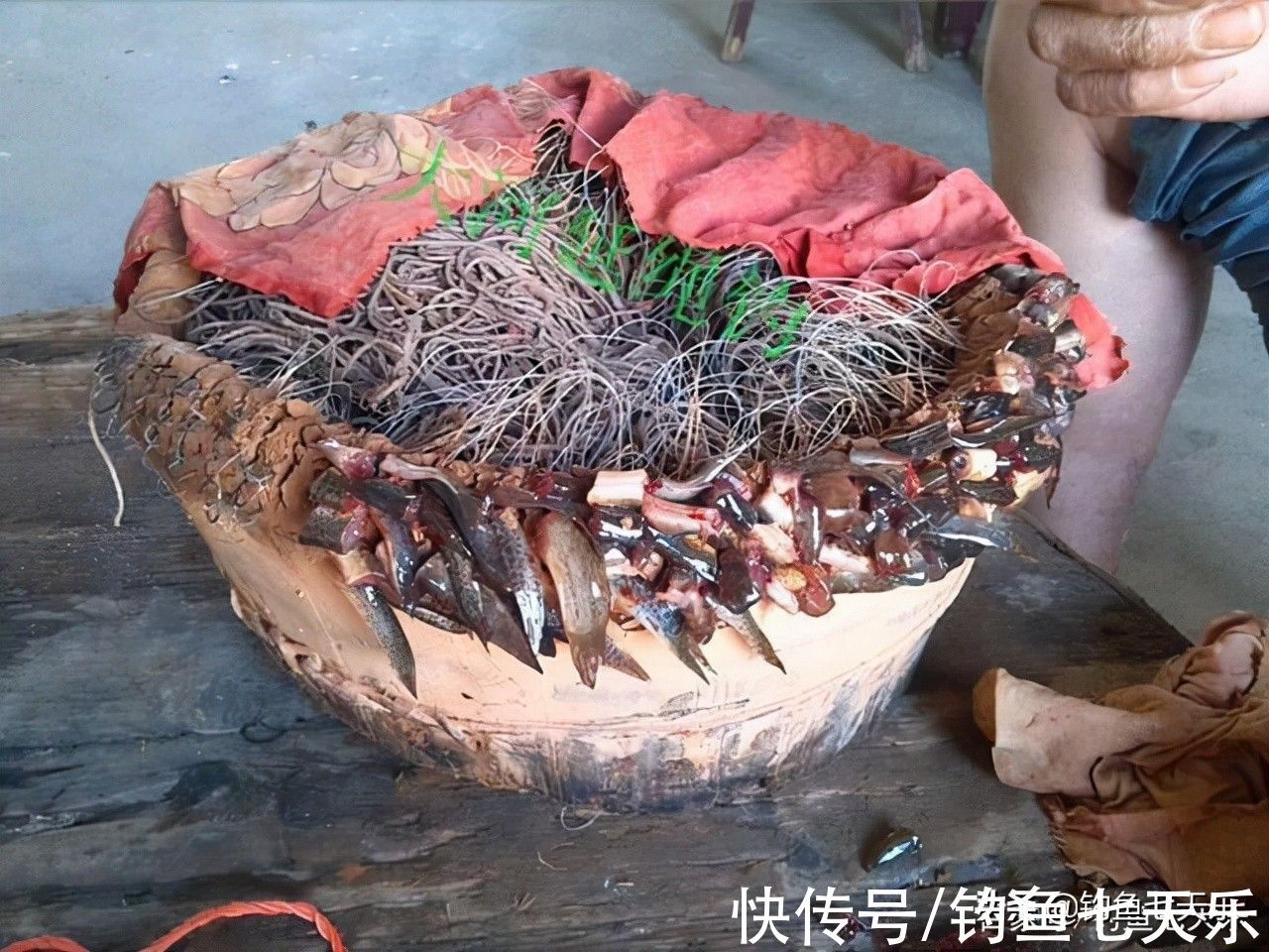 禁用|注意!12月1日起,这四类渔具将被禁用,钓鱼人要注意了