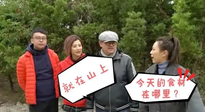 美食｜几位主持人齐齐抬竹子，难道要改行做木工？