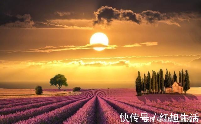 善报@厚道之人，必有厚福，善良之人，必有善报！