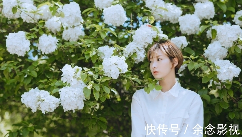 小姐姐|超短发小姐姐花丛唯美浪漫