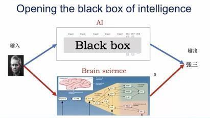 北师大|北师大毕彦超AI和人类感知的相同点和不同点