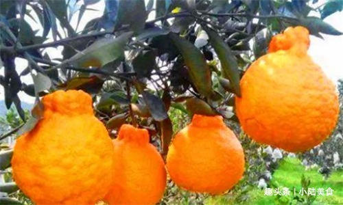 维生素e|女性想要皮肤好,适合吃3种食物,排毒养颜,使皮肤光滑靓丽