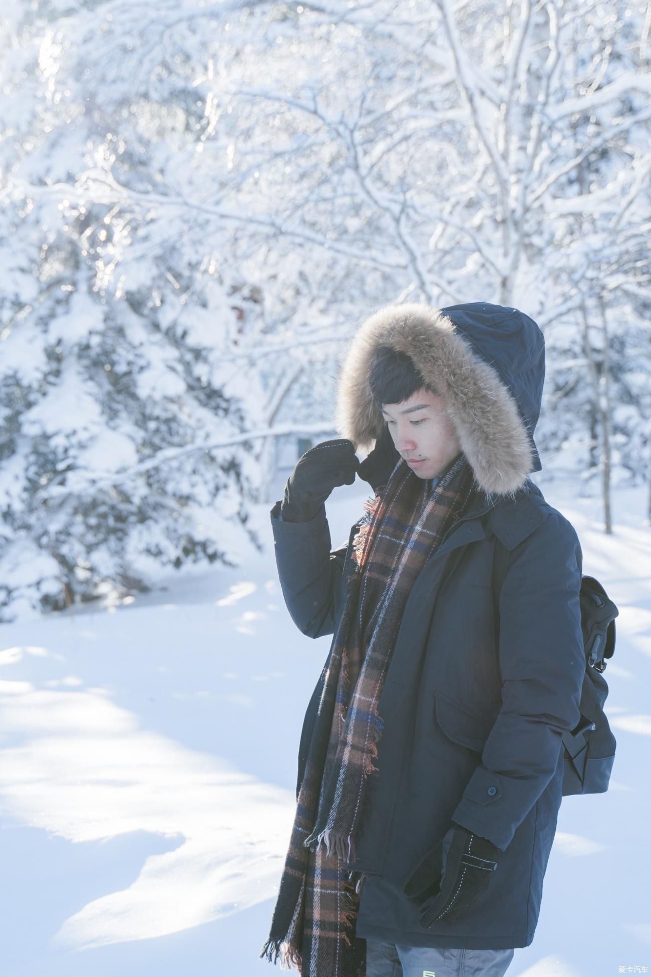 老年|在寂静雪原 遇见雪花真实的形状